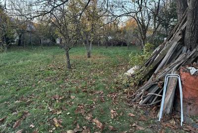 Casa solida de vanzare in Bordenii Mari - 13