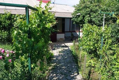 Casă cu 2 camere decomandat cu Teren 1600 Mp în Iepurești - 9