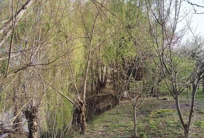 Casă cu 3 camere în Mișca - 6