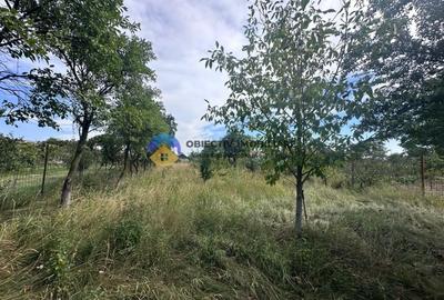 Teren + Casa de Vanzare - 1170 mp - Dumbrava Rosie, Neamt - 17