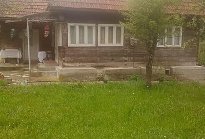 Casă cu 6 camere cu Teren 3250 Mp în Avram Iancu - 2