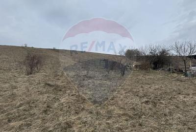 Teren Construcții intravilan de 2307 mp, în Sălicea - 15