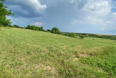 Spațiu comercial, în Miersig - 3