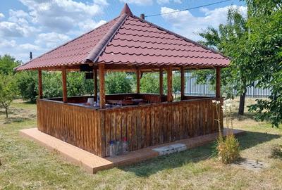 Vand casa cu livada in satul Ionesti Arges - 5