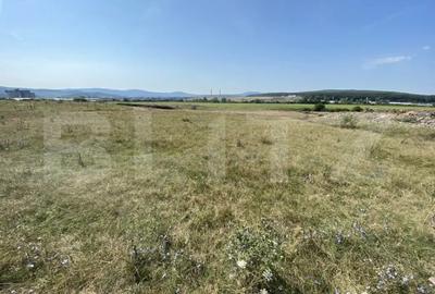 Teren de 3800 mp, în Aghireș - 1