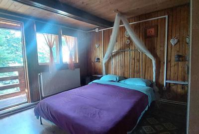 Casa de vacanta (Pensiune) in Lepsa - 8