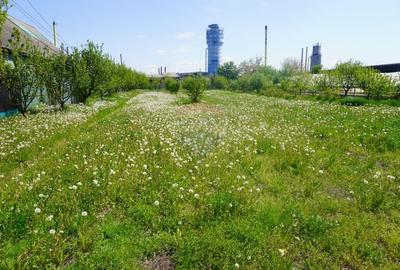 Teren Construcții intravilan de 4076 mp, în Sarasău - 9