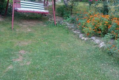 Casă cu 6 camere cu Teren 2559 Mp în Peștișani - 4