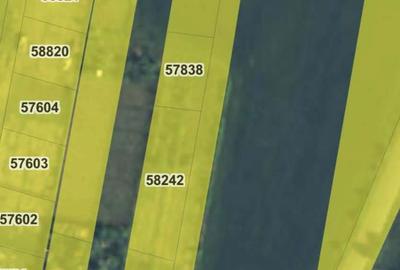 Teren de 440 mp, în Dedovița Nouă - 1