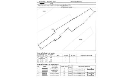 Casă cu 4 camere cu Teren 2513 Mp în Prislopu Mic - 2