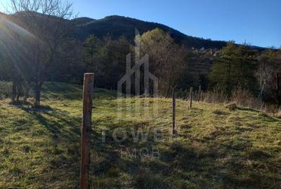 Teren agricol extravilan de 3155 mp, în Fântânele