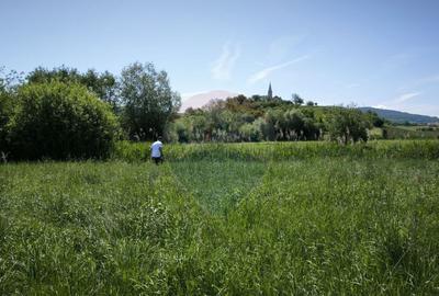 Teren de vanzare Blajel, jud. Sibiu | 15.360 mp - p... - 23