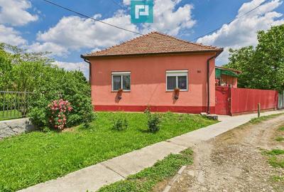 Casa cu 3 camere ?i teren generos langa frontiera - 1