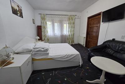 Casa spatioasa cu livada si vedere spre padure - Filipestii de Padure, Prahova Casa spatioasa cu livada si vedere spre padure - Filipestii de Padure, Prahova - 17