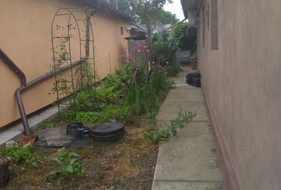Casa de vanzare, zona premium, DN4, 60km de Bucuresti, langa Dunare - 2