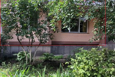 Apartament Parter 3 camere - Brad, HD - 7