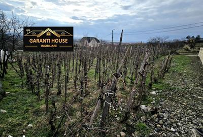 Teren de 600 mp, în Central