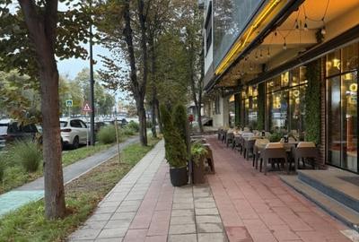Spatiu comercial stradal zona  City Park Mall - 1