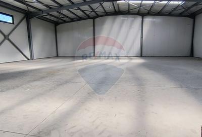 Spațiu industrial, de 595 mp, în Sud - 10
