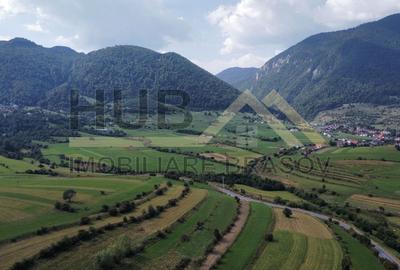 Teren de Vanzare Zarnesti | Utilitati | 3700mp - 5