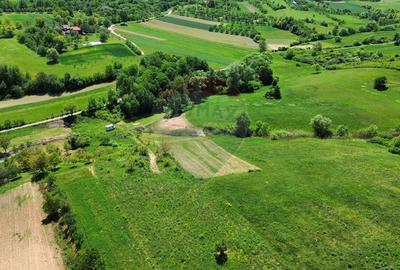 Teren agricol extravilan de 5240 mp, în Berchezoaia - 6