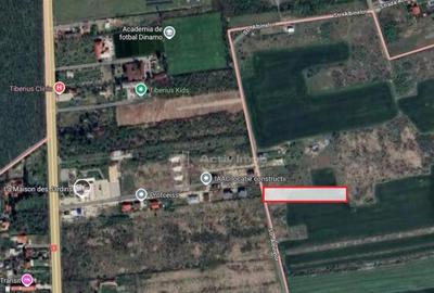 Teren de 5444 mp, în Săftica