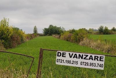 Spațiu comercial, în Crivina - 2