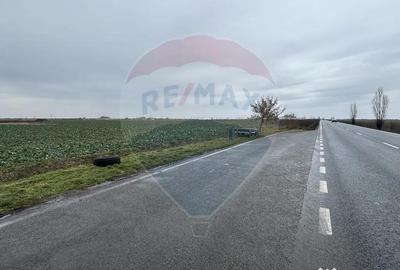 Teren de 80500 mp, în Ciumeghiu - 6