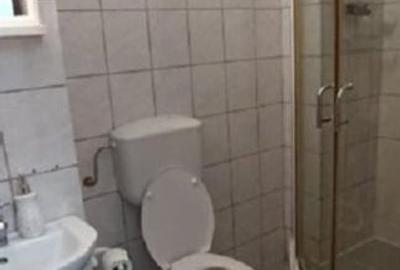 Grsoniera spațioasă de inchiriat - 3