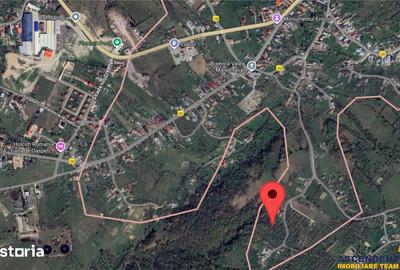 Teren de 11600 mp, în Valea Mare - 4