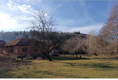 Casă cu 4 camere în Cărpinet - 7