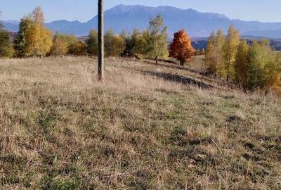 Teren de 3760 mp, în Poiana Mărului - 1