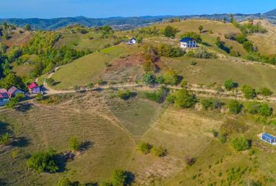 Teren de 6014 mp, în Holbav - 5