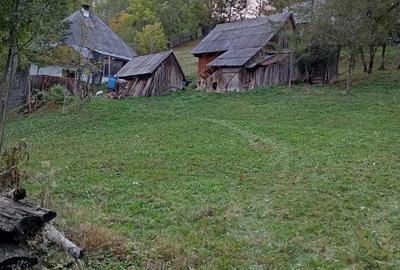 Vand casa batraneasca locuibila, in zona de munte, Apuseni. - 1