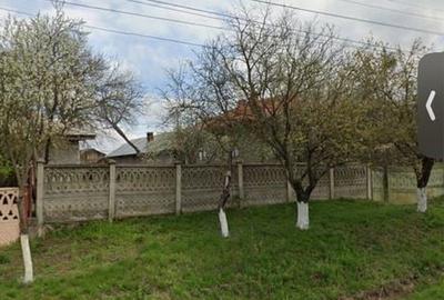 Casă cu 3 camere în Baciu - 4