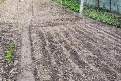 Casă cu 2 camere cu Teren 1628 Mp în Central - 2