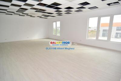 Hala 572 mp Chiajna - 16