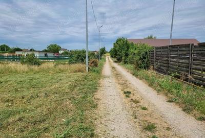 Teren de 972 mp, în Tânganu - 1