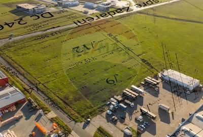 Teren Construcții intravilan de 10000 mp, în Sud - 1