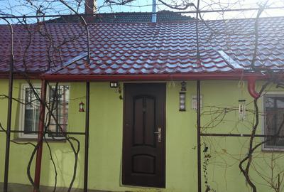 Vând 2 case într-o curte - 10
