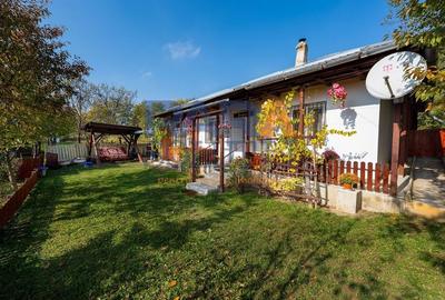 Căsuță frumoasa la țară cu toate condițiile necesare - 13