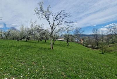 Teren de 3500 mp, în Ghioșești - 14