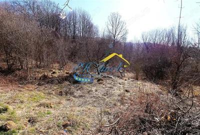 Teren de 8116 mp, în Central