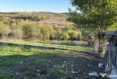 Teren de 2000 mp, în Central - 4