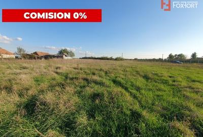 Comision 0% Teren intravilan de 3346 mp cu 2 fronturi - Jebel - 5