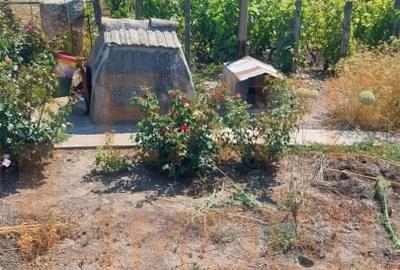 Casa situata in zona Cobadin, COMISION 0% - 12