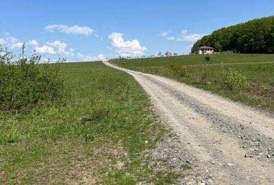 Teren de 600 mp, în Sadu - 5