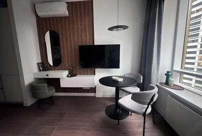 Garsoniera de inchiriat in zona Voluntari - 3