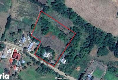 Teren de 4116 mp, în Miroslava