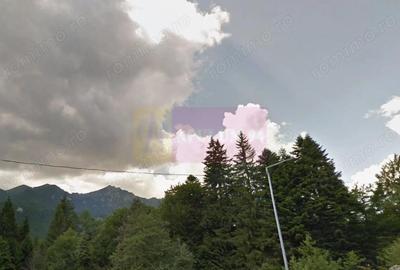 Teren extravilan in Sinaia (25 euro/mp) - 2